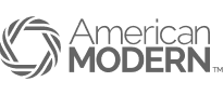 American Modern